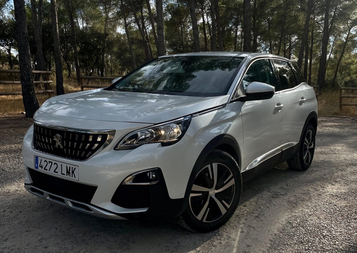 Imagen-de-WhatsApp-2025-10-20-a-las-19.07.23_83ed4cc7-1